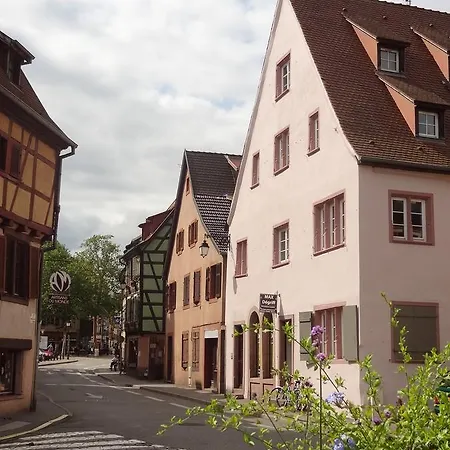 My Sweet Homes - La Grenouillere Hypercentre Colmar Esterno foto